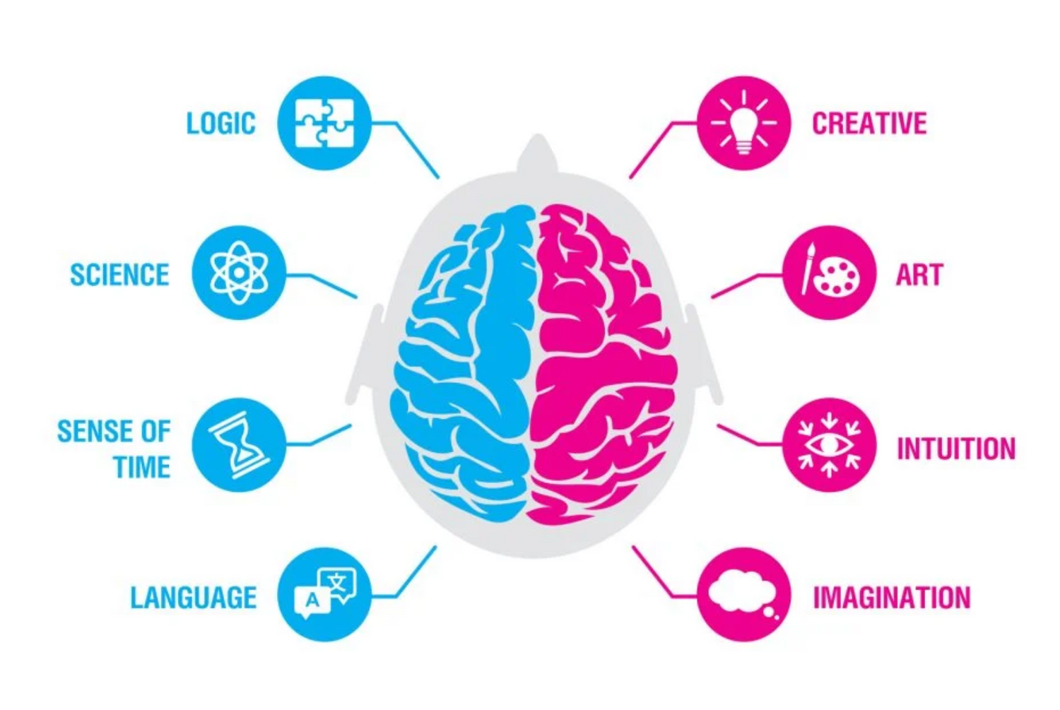 Think of your brain as a two-sided coin...